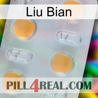 Liu Bian 24